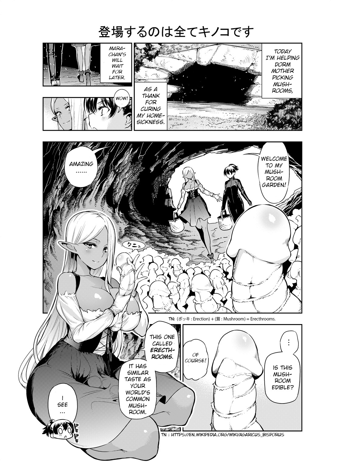 Hentai Manga Comic-Futanari Elf-Read-28